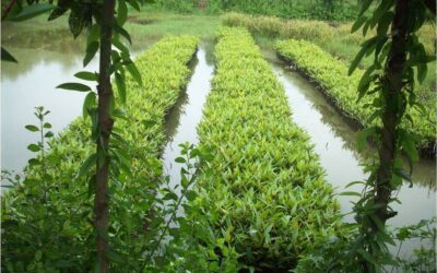 AGS Paris renews ISO 14001 certification