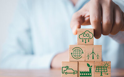 AGS Senegal eco-project revitalises soil sustainably