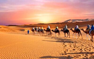 Fun Fact: The Douz festival, the gateway to the Sahara