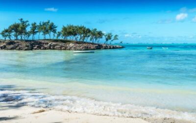 One man’s big move to a small island