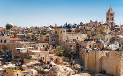 Mrs McKenzie puts AGS Movers Durban in the spotlight