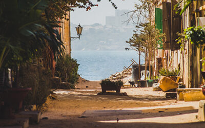 Picasso returns to Dakar with the help of AGS Senegal