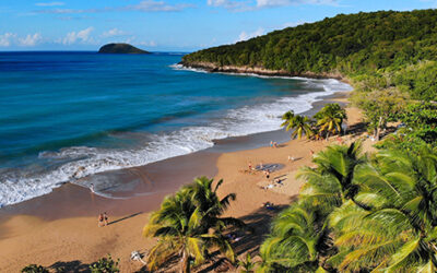 AGS supports victims of storm Fiona in Guadeloupe