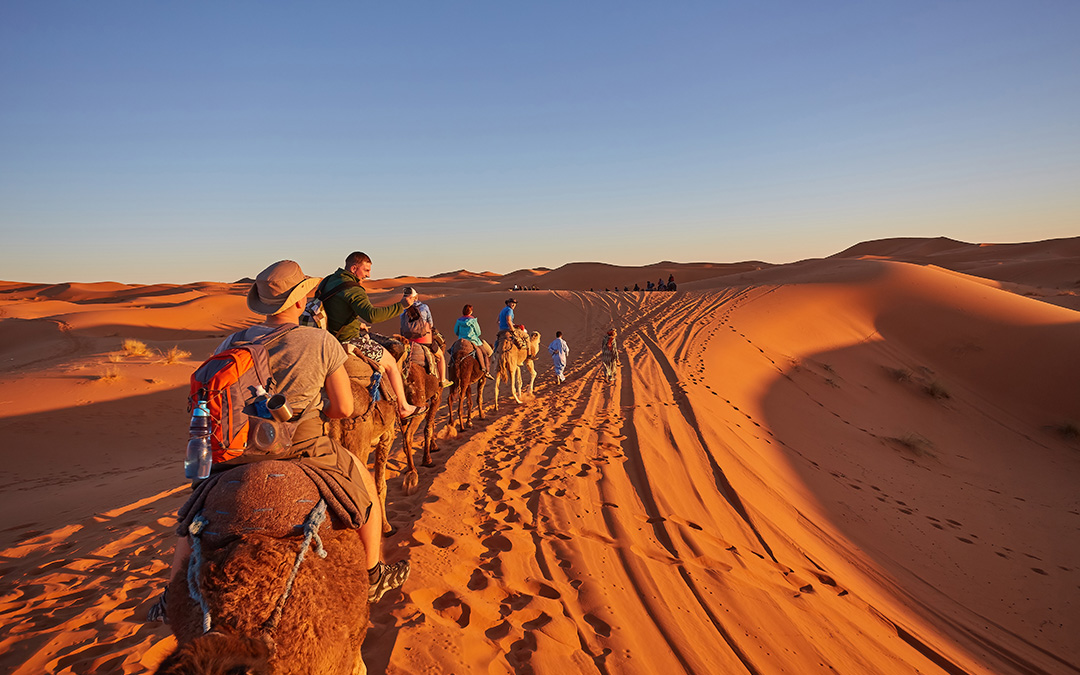 Panoramic view of camel ride in the Sahara desert, Morocco