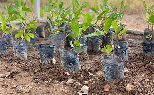 New sustainability report documents steady progress for AGS