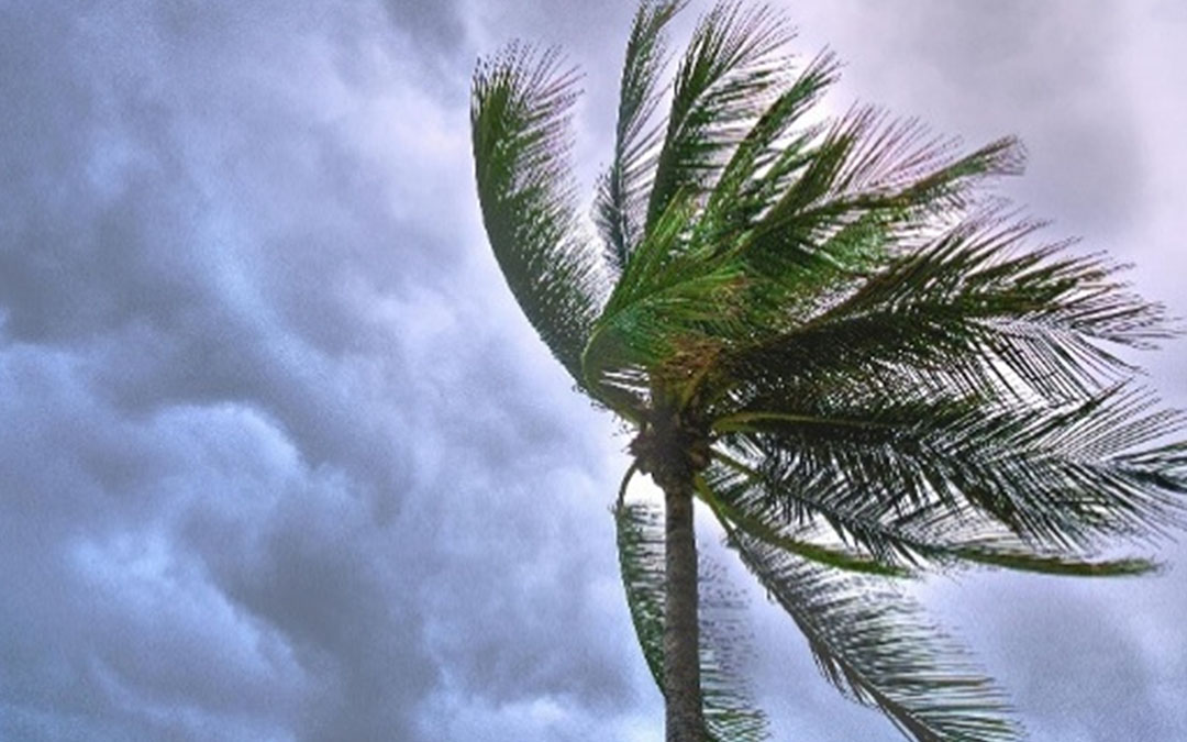 Emergency stop protocols protect belongings and moving crews when monsoon rainfall, winds, or lightning escalate.